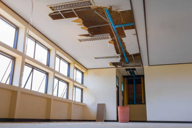 Best Water damage cleanup near me  in Newark, NJ