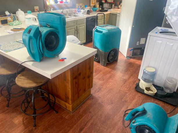 Best Water damage restoration company  in Newark, NJ