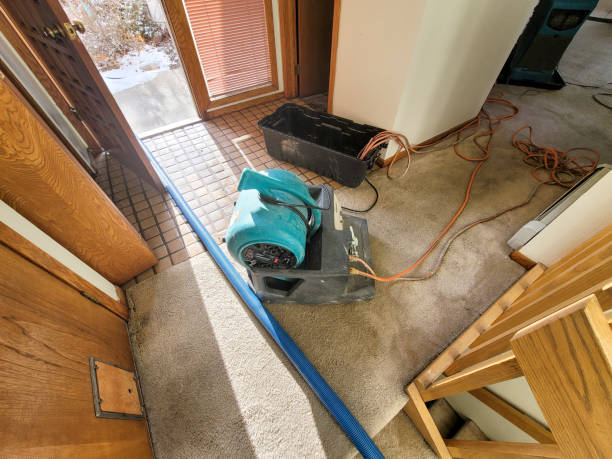 Best Water damage restoration near me  in Newark, NJ