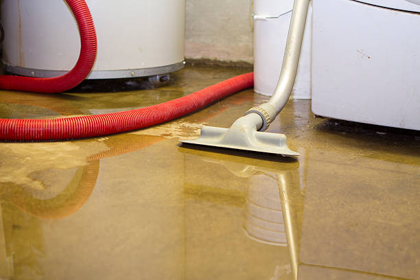 Best 24/7 water damage repair  in Newark, NJ