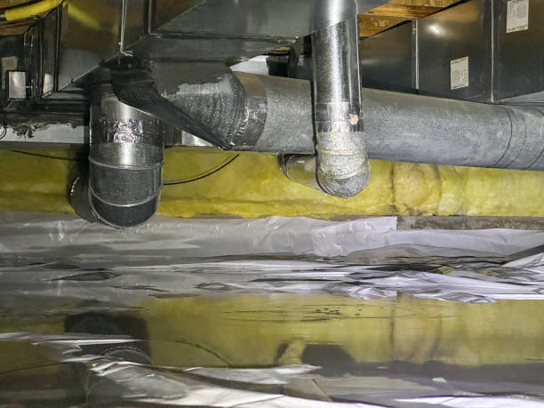 Best Flood damage cleanup  in Newark, NJ