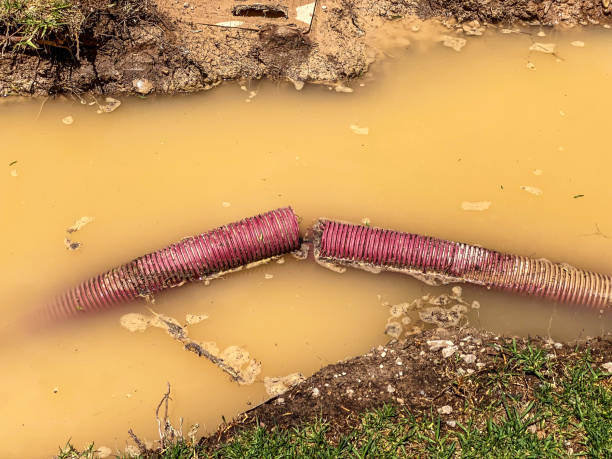 Best Water damage contractors near me  in Newark, NJ